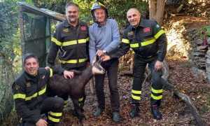 WhatsApp Image 2022 11 23 at 10.46.20