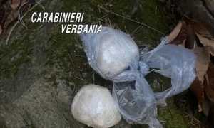 WhatsApp Image 2023 03 14 at 12.06.111