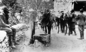 alpini asino fontana intra 1920