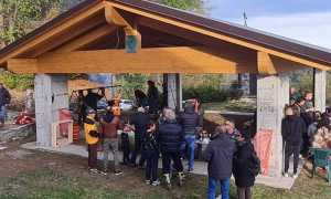 alpini bee