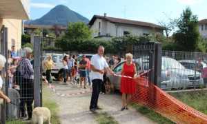 amico cane 16