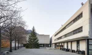 arbedo c
