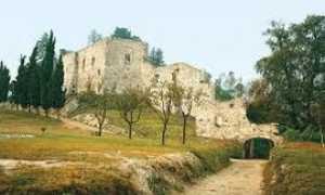 arona rocca