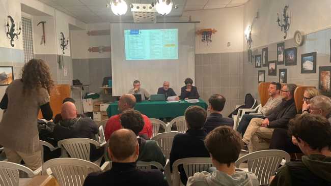 assemblea cai