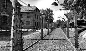 auschwitz 4715252 640