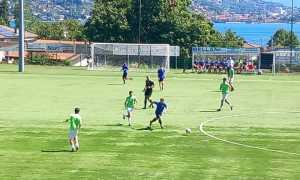 bav stre amic 2