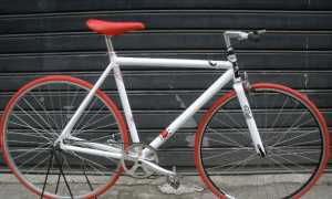 bici gen
