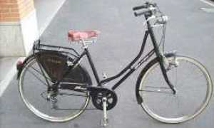bicicletta holland