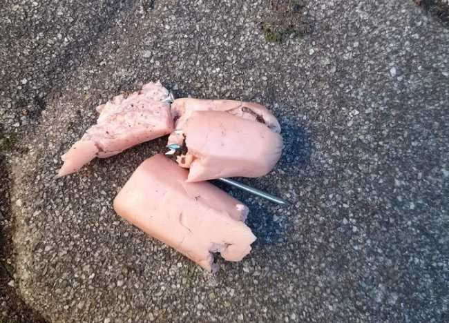 bocconi santanna due