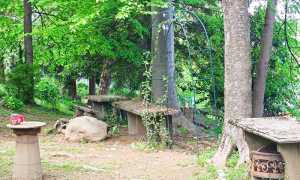 bosco graglia