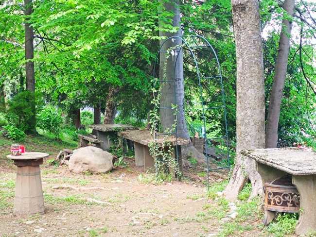 bosco graglia