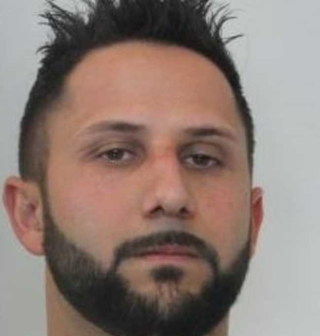 bresciani fabio