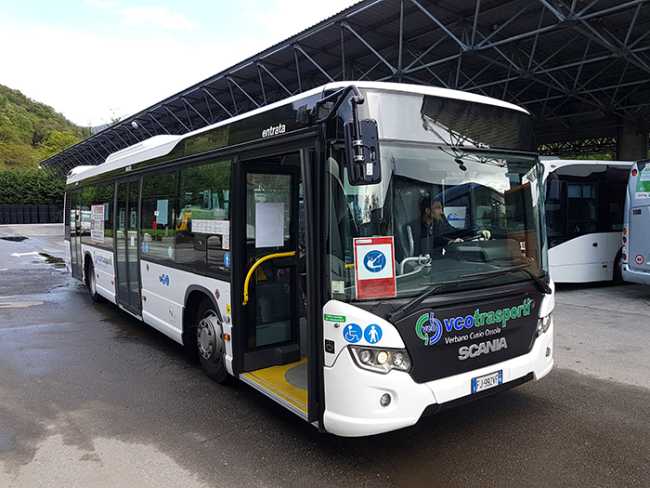 bus vco trasporti