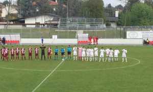 bustese vb