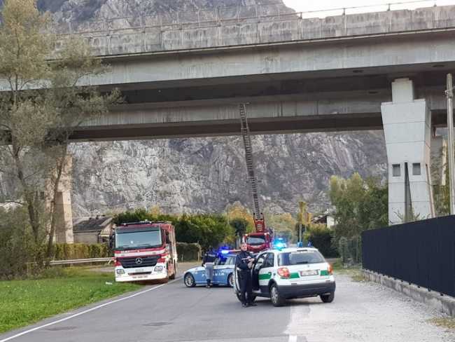 calcinacci f toce09