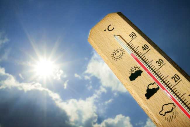 caldo termometro generico