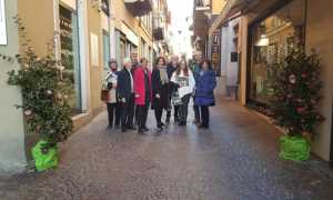 camelia inv 17 pres