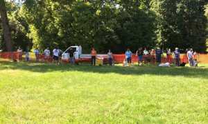 cani manifestazione