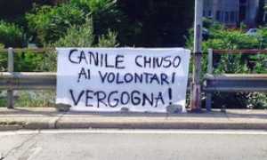canile volontari vergogna