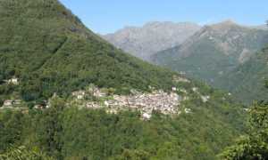cannobina