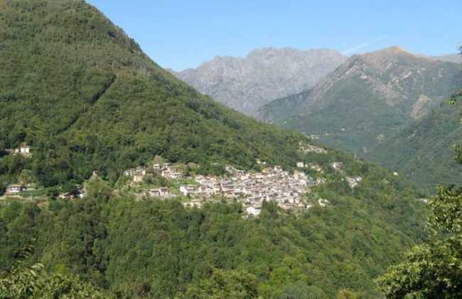 cannobina