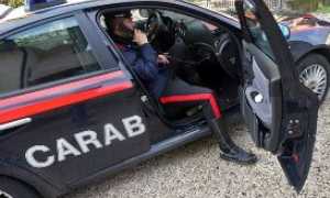 carab ott 16