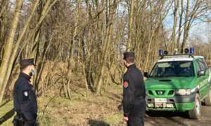 carabinieri forestali jeep due