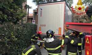 caricamento temporaneo per contributo 1548957822gbw1umfuzda06fv7 720485.610x431