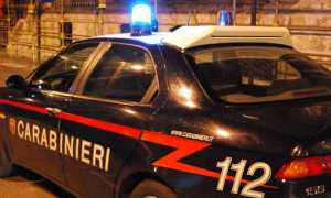 cc notte