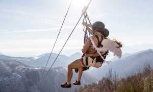 cimento zipline