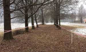 cross tecnoparco