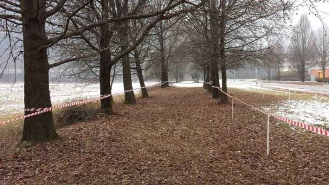 cross tecnoparco