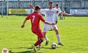 cuneo vb