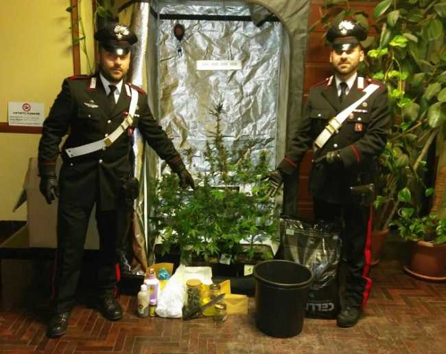 droga gen 17 vb carab