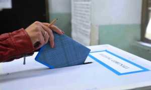 elez voto