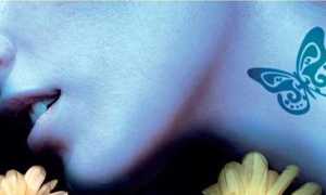 farfalla