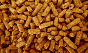 feed 2615928 960 720