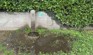 feriolo fontana parcogiochi