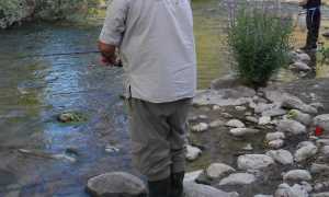 fiume pesca