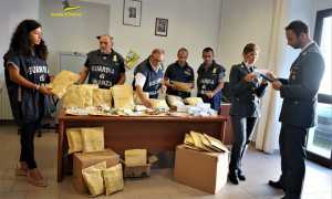 gdf doping