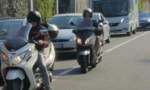 ghiffa ss34 lavori piante 1704