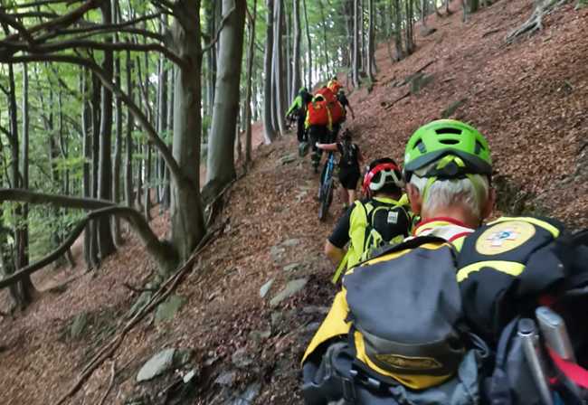 giorno bosco sentiero salita filaindiana