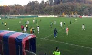 gozzano vb