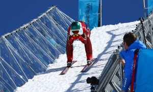 greggio mar 17 due