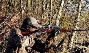 hunting 3781222 960 720