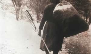 image 26 03 22 09 11