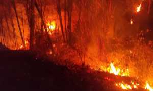 incendio