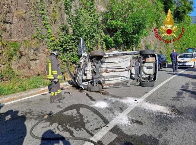 inci feriolo