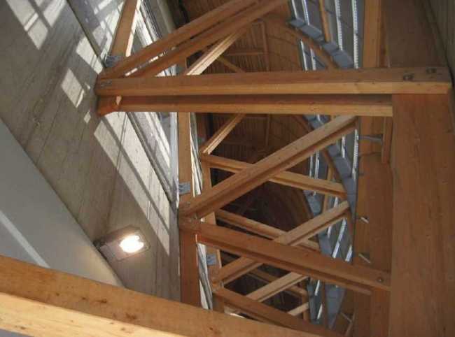 interno guscio maggiore