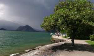 l lago pallanza